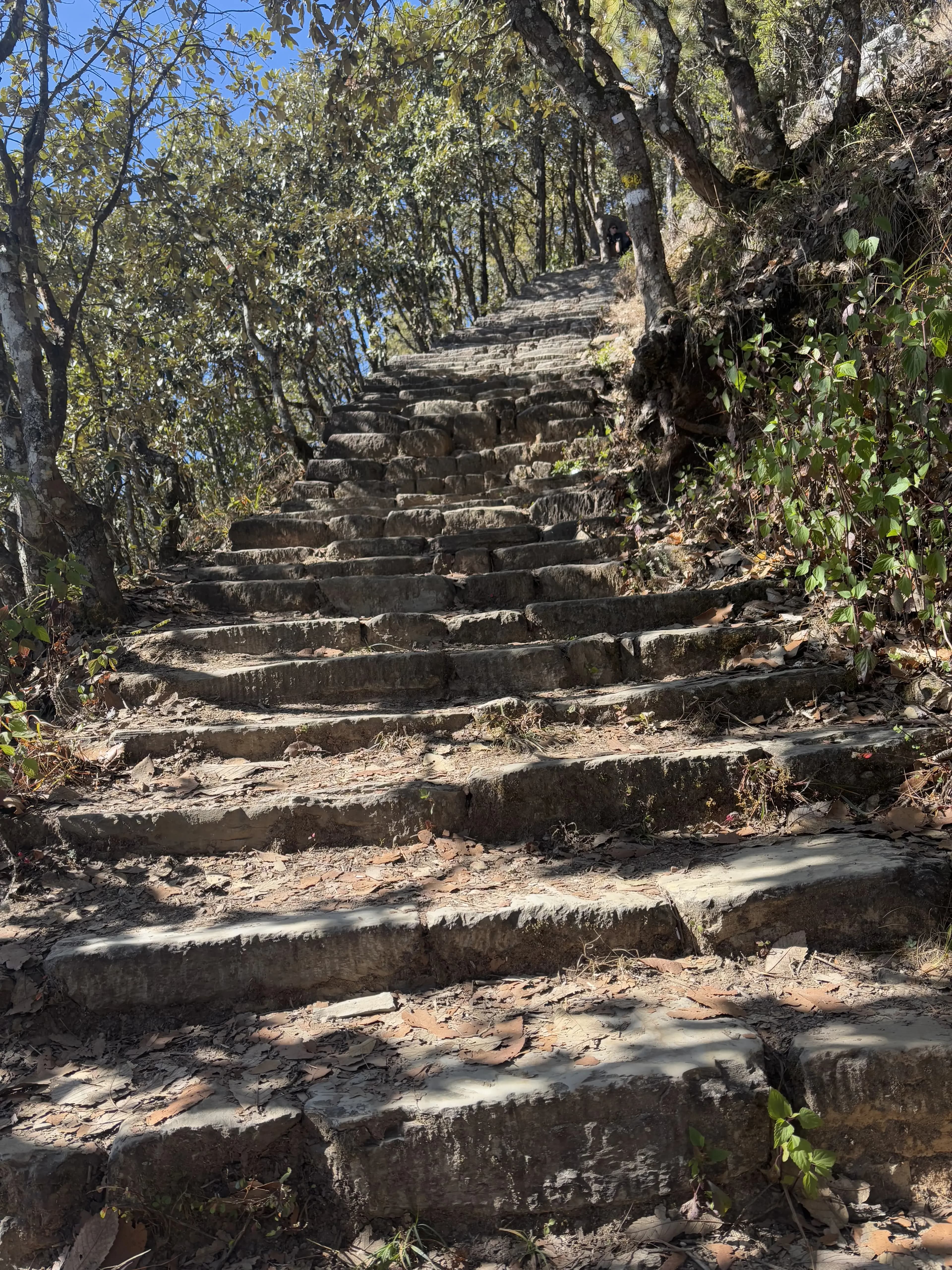 A picture of a route to Champadevi hike. In the view, stairway and greenery could be seen.