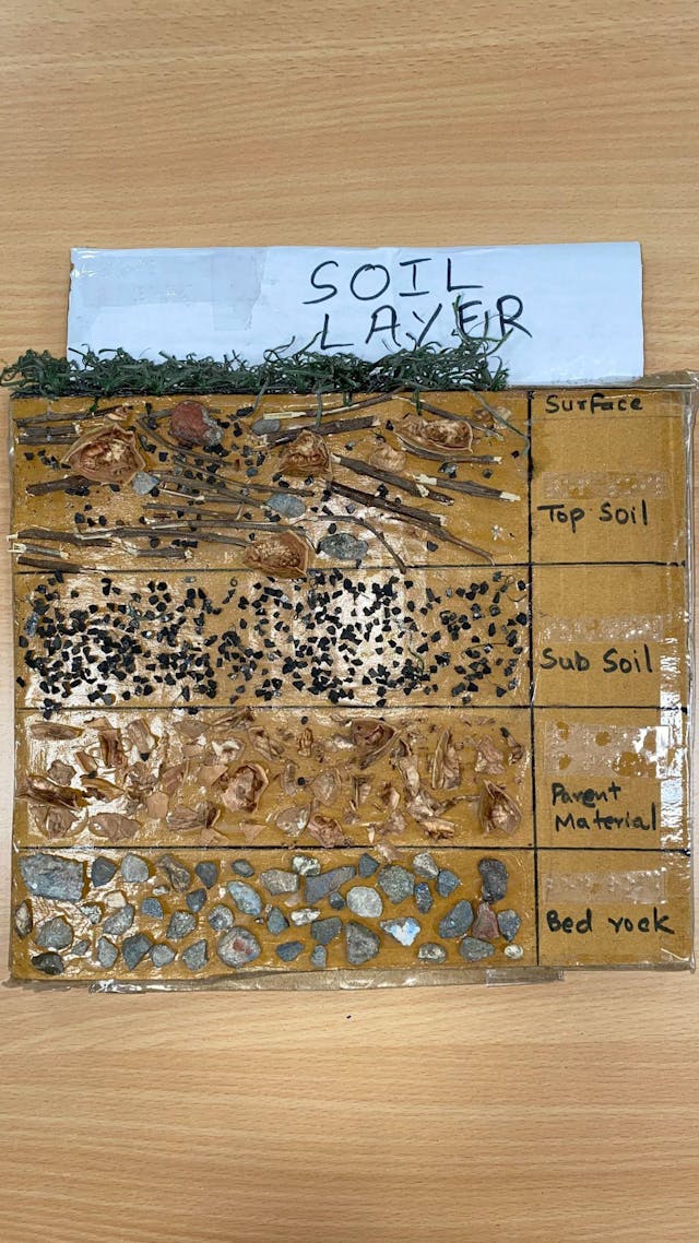 3D model depicting the layers of soil