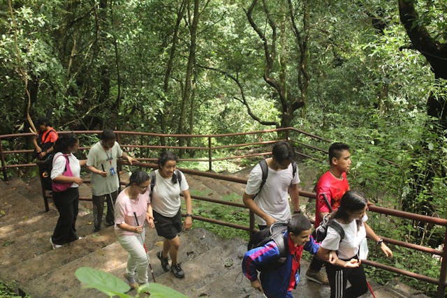 Participants with visual disabilities along with their guide climbing the staircase at Sundarijal – Shivapuri Nagarjung National Park during the hiking.