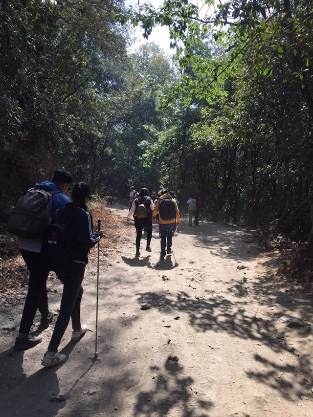 All the participants are hiking through the forest of Shivapuri – Nagarjung National Park. In the background green trees are observed.